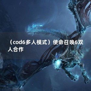 （cod6多人模式）使命召唤6双人合作