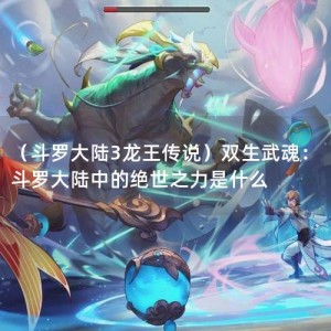 （斗罗大陆3龙王传说）双生武魂：斗罗大陆中的绝世之力是什么