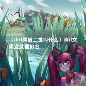 （dnf柔道二觉叫什么）dnf女柔道武器排名