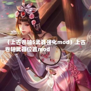 （上古卷轴5武器强化mod）上古卷轴武器位置mod