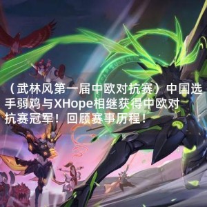 （武林风第一届中欧对抗赛）中国选手弱鸡与XHope相继获得中欧对抗赛冠军！回顾赛事历程！