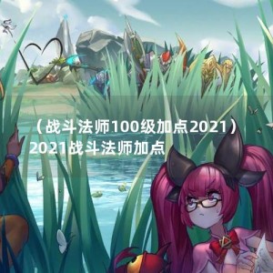 （战斗法师100级加点2021）2021战斗法师加点